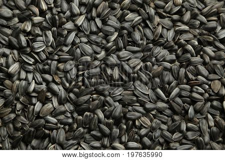 Heap of tasty and ripe sunflower seeds background