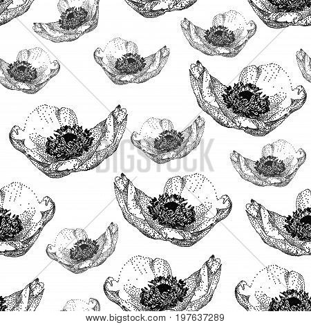 Vector seamless pattern with anemone flower isolated on white background drawn by hand. Graphic drawing pointillism technique. Botanical natural collection. Black and white floral illustration