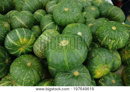 green organic fresh pumpkins isolated on background