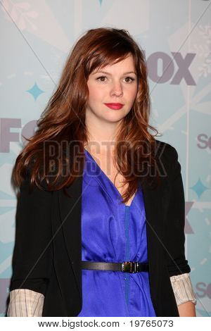 LOS ANGELES - JAN 11:  Amber Tamblyn arrives at the FOX TCA Winter 2011 Party at Villa Sorriso on January 11, 2011 in Pasadena, CA
