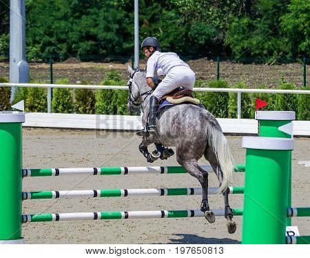 Rider on gray horse in jumping show, equestrian sports. Dappled gray horse and rider in white shirt over a jump. Hot, shiny day.