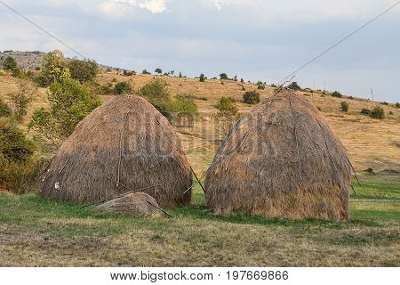 Two Haystack 2