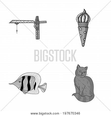 tail, Animal and other  icon in cartoon style. Desert, rock icons in set collection.