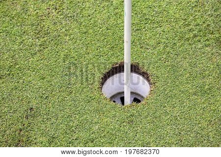 Golf Hole