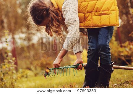 happy child girl playing little gardener in autumn and picking leaves into basket. Seasonal garden work.