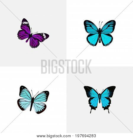 Realistic Butterfly, Sky Animal, Lexias And Other Vector Elements