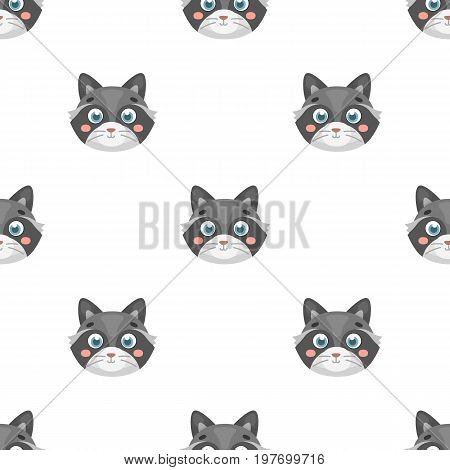 Raccoon muzzle icon in cartoon design isolated on white background. Animal muzzle symbol stock vector illustration.