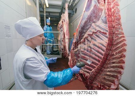 Mogilev Belarus - July 24 2017: Cutting Meat Slaughterhouse Workers In A Meat Factory
