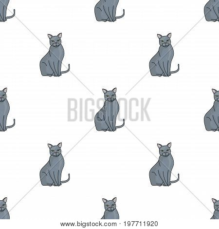 Chartreux icon in cartoon design isolated on white background. Cat breeds symbol stock vector illustration.