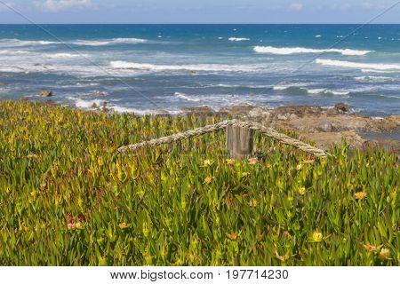 Rope Hidden In The Middle Of Beach Vegetation In Vila Nova De Milfontes