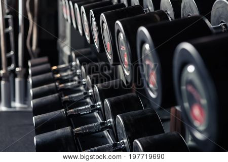 Sports dumbbells in modern sports club. Weight Training Equipment