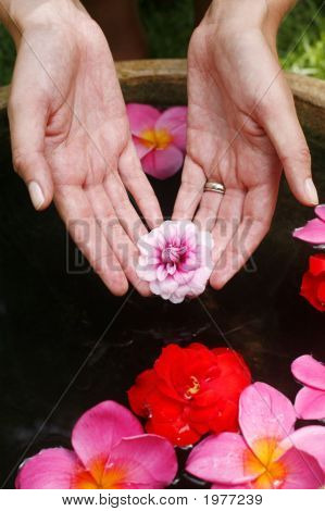 Flower Hand Reflection