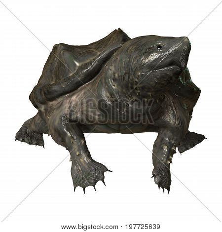 3D Rendering Alligator Snapping Turtle On White