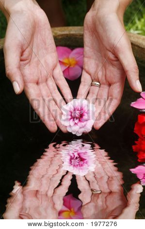 Flower Hand Reflection