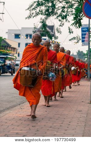 LUANG PRABANG LAOS - MARCH 12 2017: Vertical picture of many monks going in line to Buddhist Alms Giving Ceremony where local people offers food and money before the sunrise in Luang Prabang Laos.