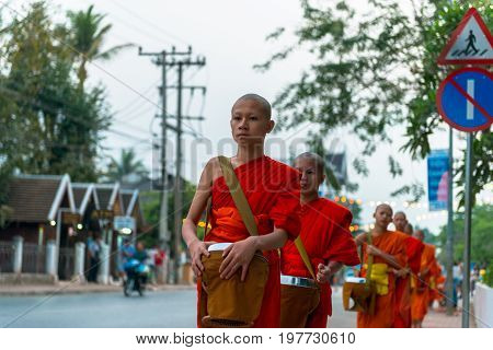 LUANG PRABANG LAOS - MARCH 12 2017: wide angle picture of young monks going in line to Buddhist Alms Giving Ceremony where local people offers food and money before the sunrise in Luang Prabang Laos.