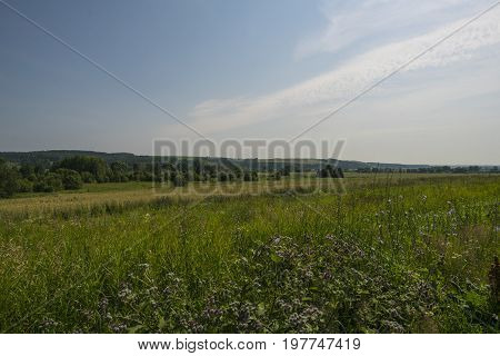 Russian hot summer vast field beautiful landscape shot with fine blue sky and clouds