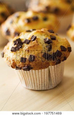 Many tasty homemade vanilla muffins with chocolate chunks on bright white background. Closeup.