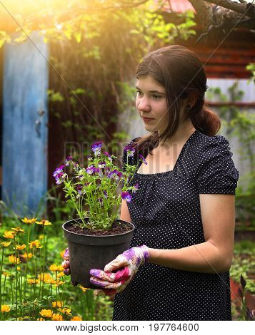 teen girl work on landscaping garden design hold pot with pansies on the blossoming garden background