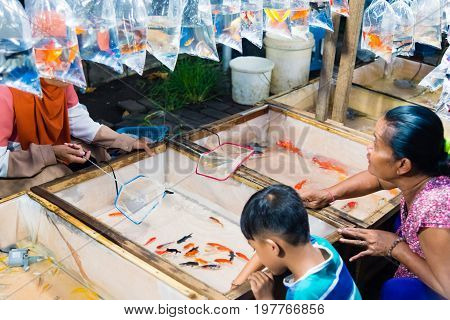 Locals Buying Golden Fish At Gianyar Night Market In Bali, Indonesia