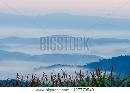 View Point At Doi Sa-ngo, Chiang Sean, Chiang Rai Province, Thailand.
