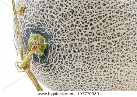 Close up the top of Hamigua melon (sweet cantaloupe melon) isolated on white background.