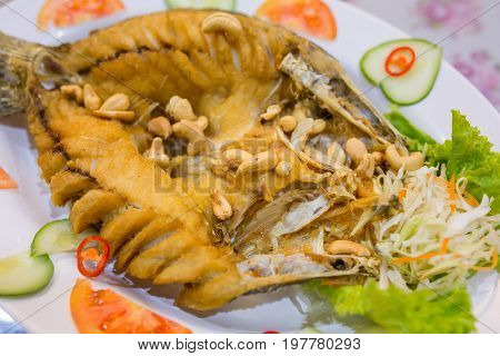 Deep Fried Sea Bass with Sauce on white dishThai food.