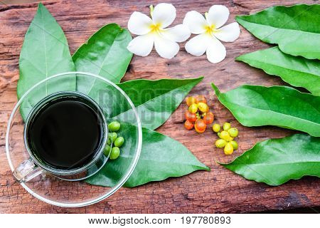 bai-ya-nang juice(thai name) thai herb (Tiliacora triandra)