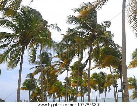 This is a beach of the Caribbean, known as Puerto Cabello, located in the Venezuelan Caribbean