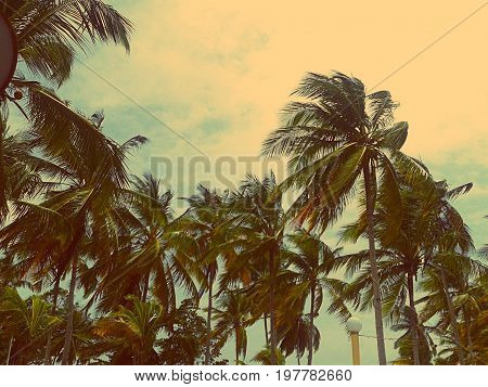 This is a beach of the Caribbean, known as Puerto Cabello, located in the Venezuelan Caribbean