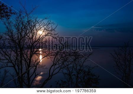 Silhouettes of dry tree against sky and cloud over tranquil sea. Nighttime with moonlight and reflection in water. Full moon behind trees beautiful nature in the evening.