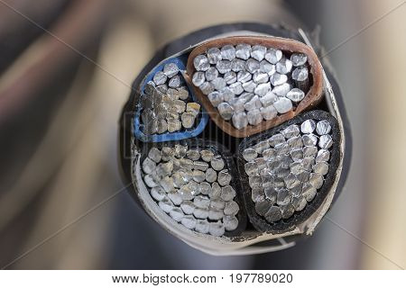 Cross Section Of Black Industrial Underground Cable 2