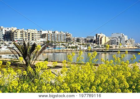 BUGIBBA, MALTA - MARCH 31, 2017 - View of salt pans with buildings to the rear in Salina Bay Bugibba Malta Europe, March 31, 2017.