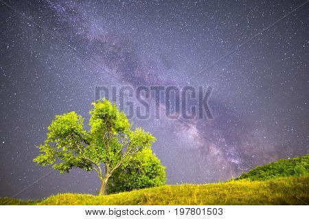 Green Tree Milky Way Night Sky