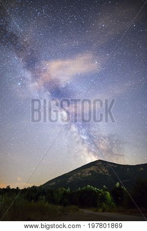 Pine Trees Silhouette Milky Way Dark Sky