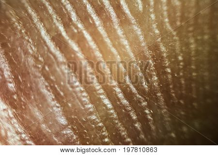 Close Up Look At The Patterns Of Human Skin