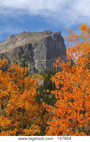 Hallet Peak Herbst - 28568