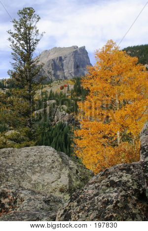 Herbst bei Hallet Peak - 28557