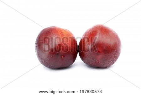 Juicy Fruit Nectarine