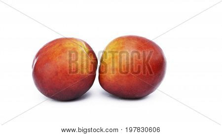 Juicy Fruit Nectarine