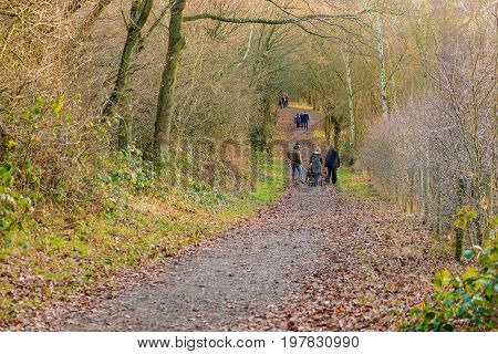 Hainault Country Park Essex UK - December 26 2016:Family having a winter walk in the forest on a bright sunny day.