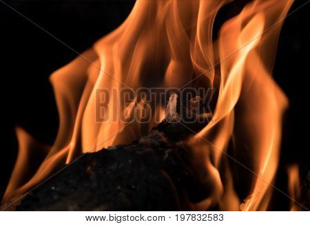 Closeup of flames of burning wood in an oven