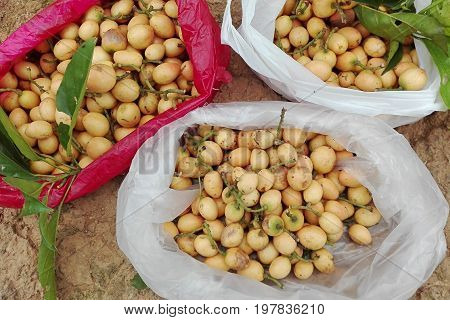 Thai fruit (Ma Fai) in a plastic bag