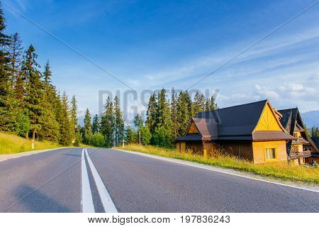 Scenic road in the mountains. Mountain View. Carpathians. Ukraine Europe