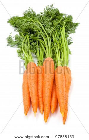 Carrots (daucus Carota Ssp. Sativus)