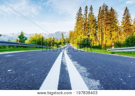 Scenic road in the mountains. Mountain View. Carpathians. Ukraine Europe