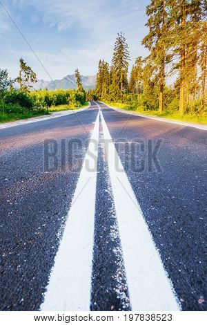 Scenic road in the mountains. Mountain View. Carpathians. Ukraine Europe