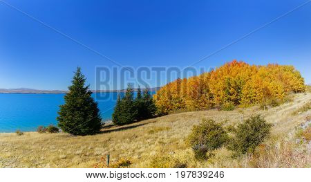 Panoramic beautiful scenery of Lake Pukaki along Mount Cook /Aoraki road in autumn Mackenzie District Canterbury region South Island of New Zealand