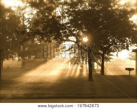 Beautiful foggy morning in Heritage Park, Michigan