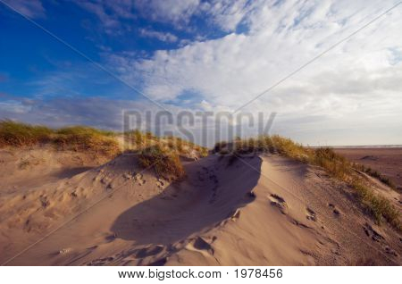 Dune di sabbia e l'oceano